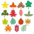 Different leaves, clipart